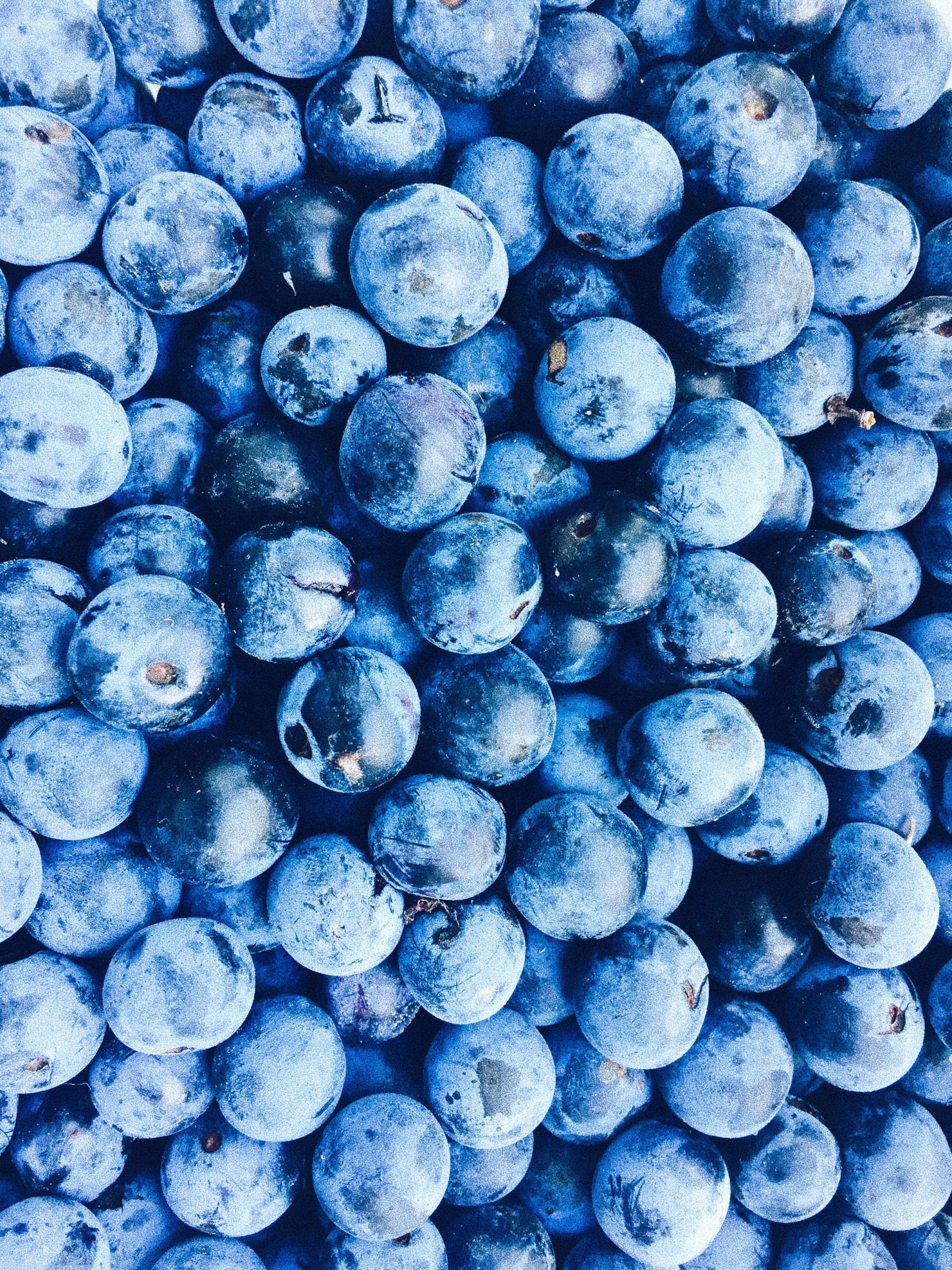 nica-cn-HlWzU_vLdfU-unsplash nica-cn-HlWzU_vLdfU-unsplash